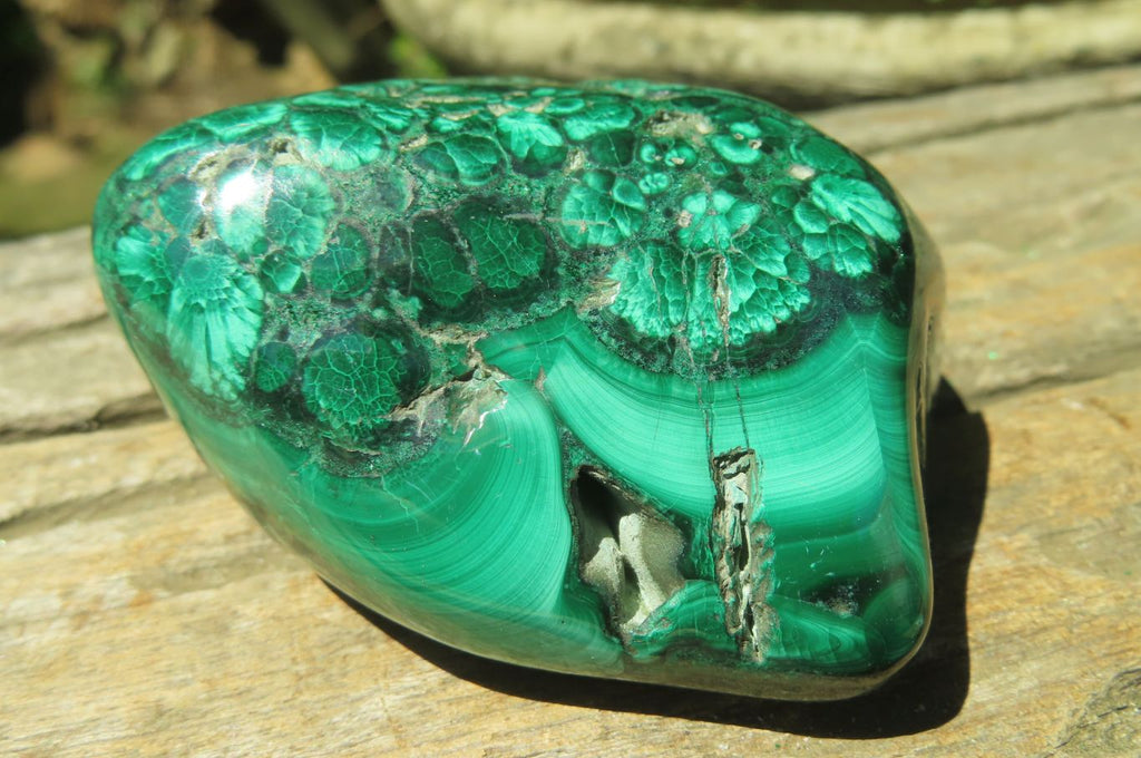 Polished Flower Banded Malachite Free Forms x 6 From Congo - Toprock Gemstones and Minerals 