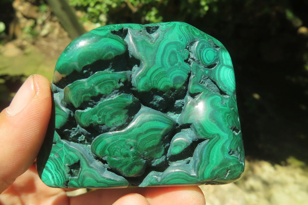 Polished Flower Banded Malachite Free Forms x 6 From Congo - Toprock Gemstones and Minerals 