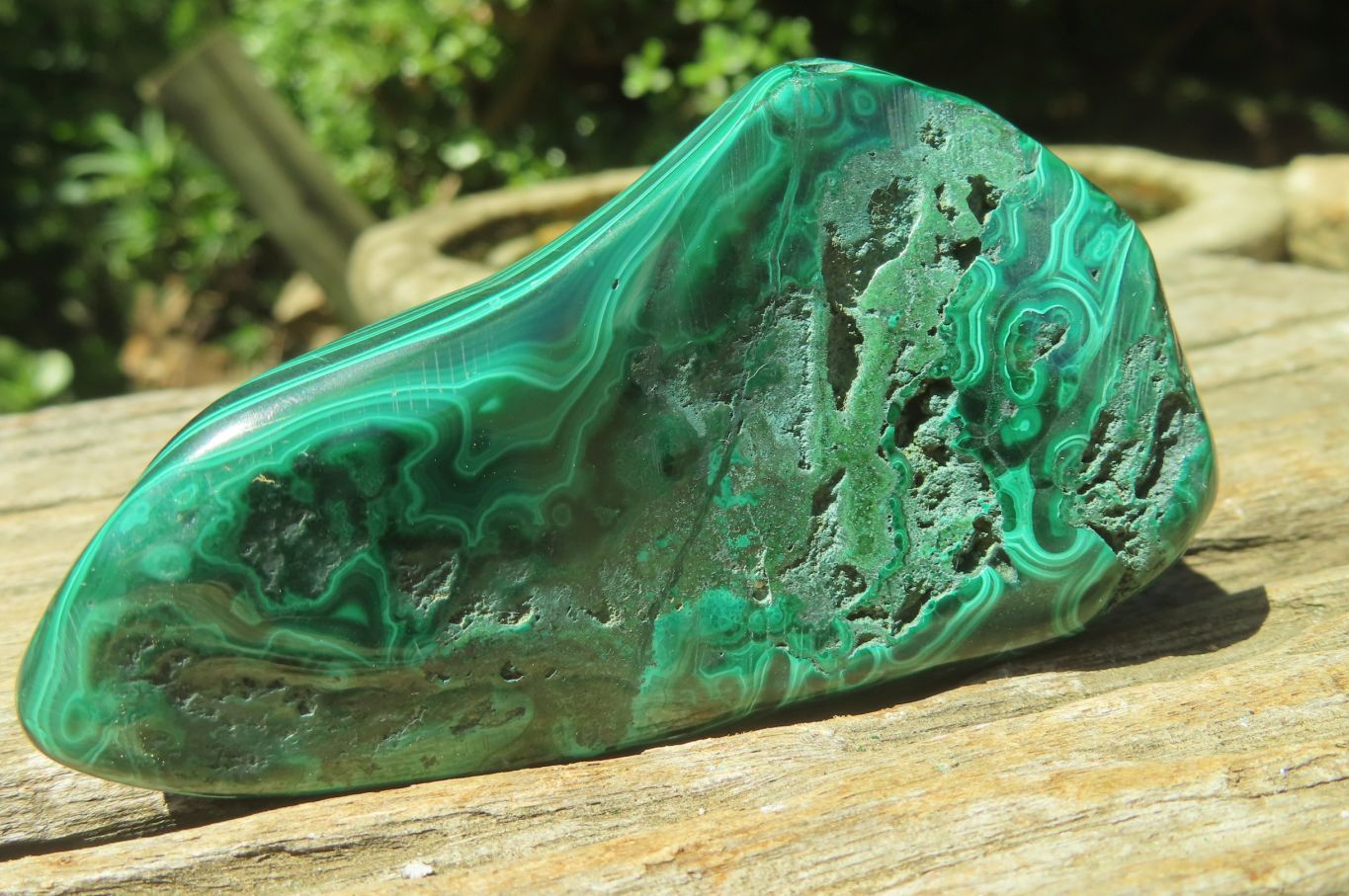 Polished Flower Banded Malachite Free Forms x 6 From Congo - Toprock Gemstones and Minerals 