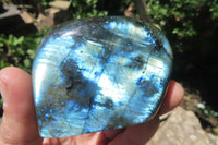 Polished Labradorite Standing Free Forms x 6 From Tulear, Madagascar - Toprock Gemstones and Minerals 