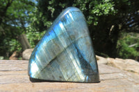 Polished Labradorite Standing Free Forms x 6 From Tulear, Madagascar - Toprock Gemstones and Minerals 