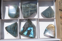 Polished Labradorite Standing Free Forms x 6 From Tulear, Madagascar - Toprock Gemstones and Minerals 