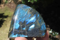 Polished Labradorite Standing Free Forms x 6 From Tulear, Madagascar - Toprock Gemstones and Minerals 