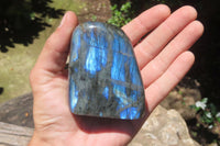 Polished Labradorite Standing Free Forms x 6 From Tulear, Madagascar - Toprock Gemstones and Minerals 