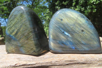 Polished Labradorite Standing Free Forms x 6 From Tulear, Madagascar - Toprock Gemstones and Minerals 
