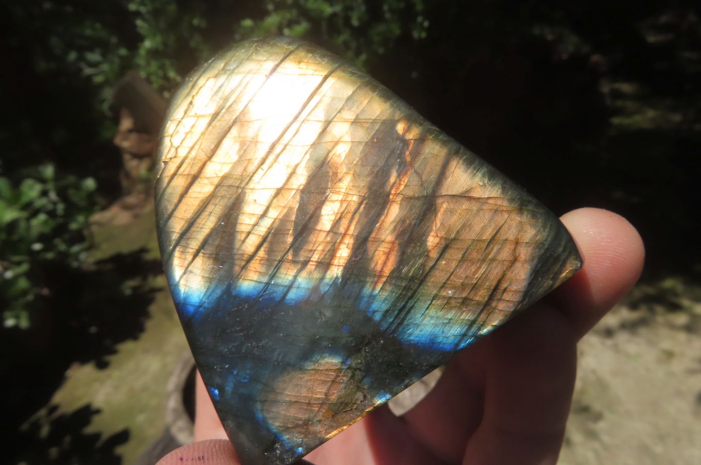 Polished Labradorite Standing Free Forms x 6 From Tulear, Madagascar - Toprock Gemstones and Minerals 