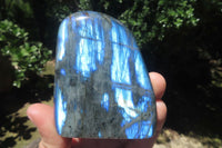 Polished Labradorite Standing Free Forms x 6 From Tulear, Madagascar - Toprock Gemstones and Minerals 