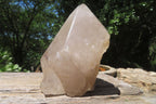 Polished Partially Arcadian Quartz Crystal x 1 From Angola - Toprock Gemstones and Minerals 