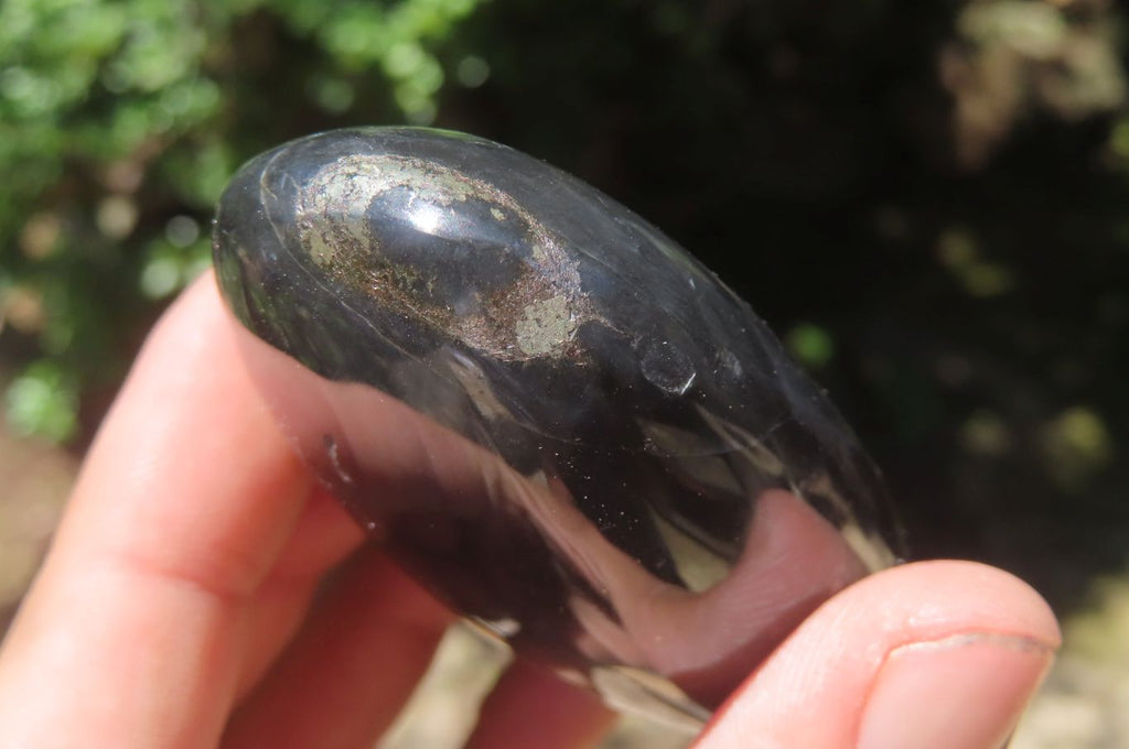 Polished Pharaoh Stone Palm Stones x 12 From Zimbabwe - Toprock Gemstones and Minerals 
