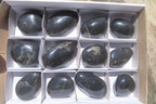Polished Pharaoh Stone Palm Stones x 12 From Zimbabwe - Toprock Gemstones and Minerals 