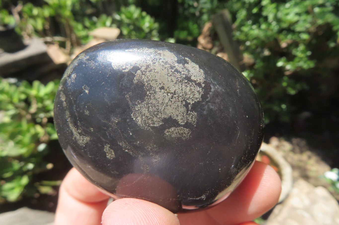Polished Pharaoh Stone Palm Stones x 12 From Zimbabwe - Toprock Gemstones and Minerals 
