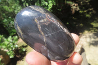 Polished Pharaoh Stone Palm Stones x 12 From Zimbabwe - Toprock Gemstones and Minerals 