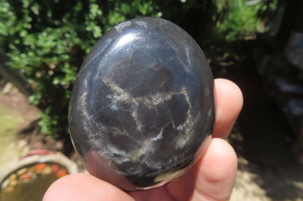 Polished Pharaoh Stone Palm Stones x 12 From Zimbabwe - Toprock Gemstones and Minerals 