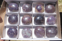 Polished Lepidolite with Pink Rubellite Palm Stones x 12 From Ambatondrazaka, Madagascar - Toprock Gemstones and Minerals 
