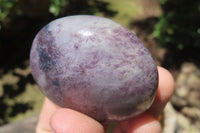 Polished Lepidolite with Pink Rubellite Palm Stones x 12 From Ambatondrazaka, Madagascar - Toprock Gemstones and Minerals 