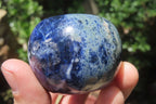Polished Sodalite Fruit Carvings x 6 From Namibia - Toprock Gemstones and Minerals 