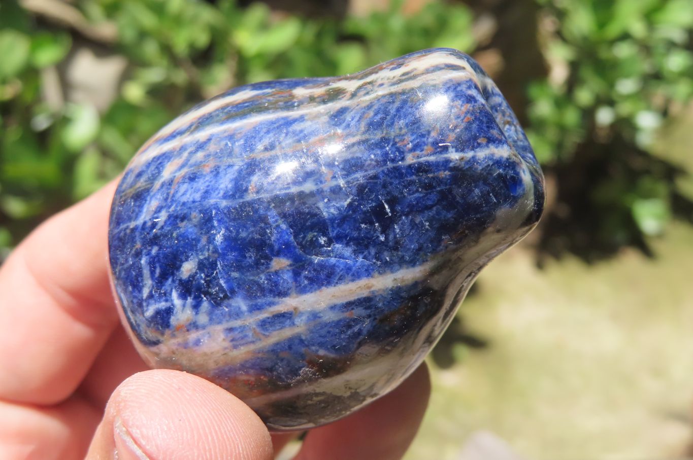 Polished Sodalite Fruit Carvings x 6 From Namibia - Toprock Gemstones and Minerals 