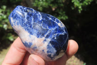 Polished Sodalite Fruit Carvings x 6 From Namibia - Toprock Gemstones and Minerals 