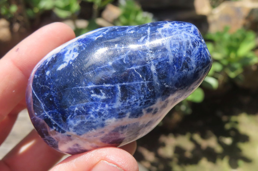 Polished Sodalite Fruit Carvings x 6 From Namibia - Toprock Gemstones and Minerals 