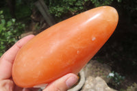 Polished Orange Twist Calcite Standing Free Forms x 2 From Madagascar - Toprock Gemstones and Minerals 