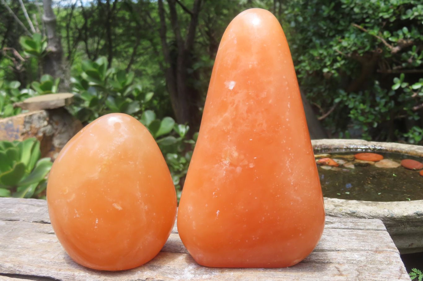 Polished Orange Twist Calcite Standing Free Forms x 2 From Madagascar - Toprock Gemstones and Minerals 