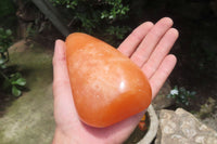 Polished Orange Twist Calcite Standing Free Forms x 2 From Madagascar - Toprock Gemstones and Minerals 