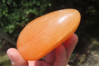 Polished Orange Twist Calcite Standing Free Forms x 2 From Madagascar - Toprock Gemstones and Minerals 
