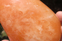 Polished Orange Twist Calcite Standing Free Forms x 2 From Madagascar - Toprock Gemstones and Minerals 