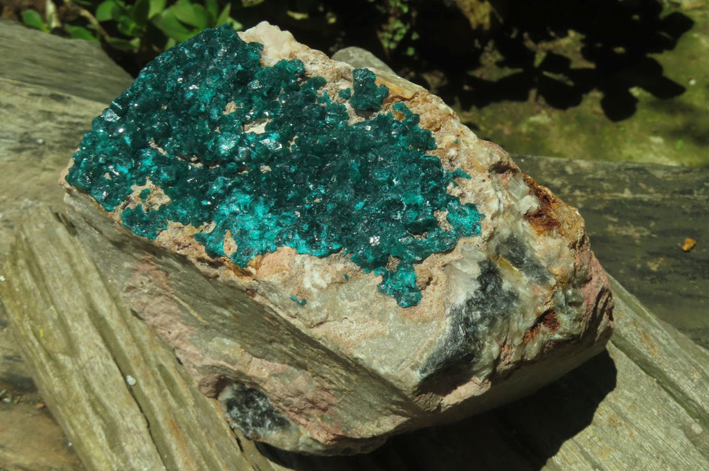 Natural Dioptase Cabinet Specimen x 1 From Brazzaville, Congo - Toprock Gemstones and Minerals 