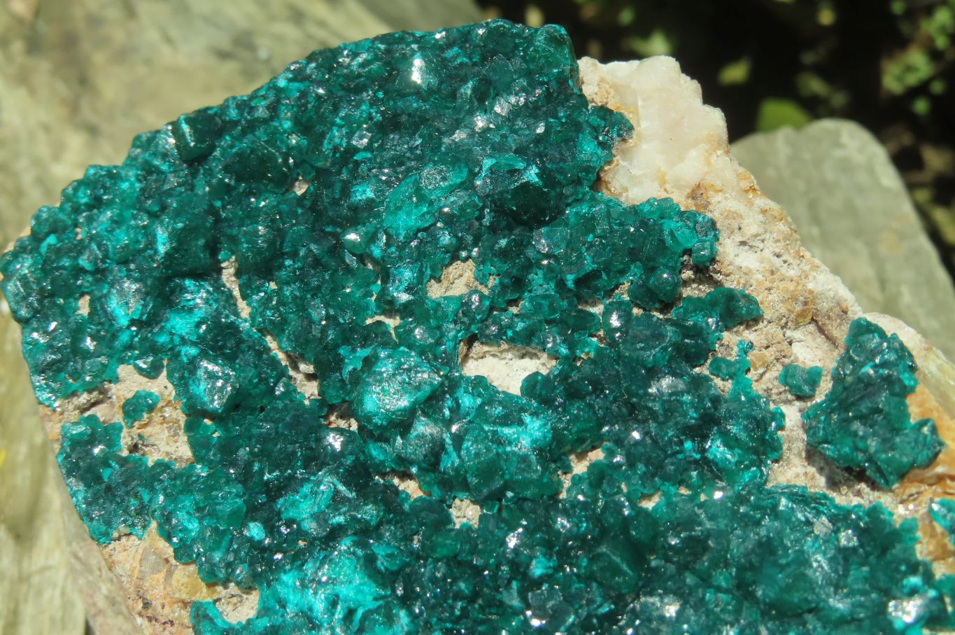 Natural Dioptase Cabinet Specimen x 1 From Brazzaville, Congo - Toprock Gemstones and Minerals 