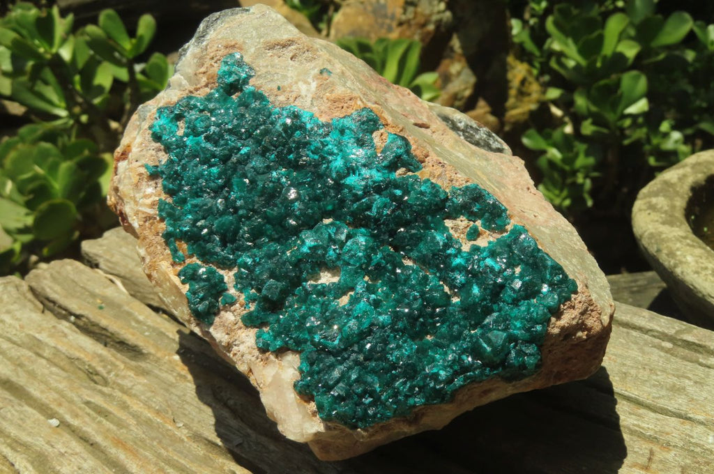 Natural Dioptase Cabinet Specimen x 1 From Brazzaville, Congo - Toprock Gemstones and Minerals 