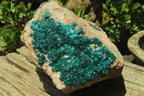 Natural Dioptase Cabinet Specimen x 1 From Brazzaville, Congo - Toprock Gemstones and Minerals 