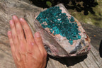 Natural Dioptase Cabinet Specimen x 1 From Brazzaville, Congo - Toprock Gemstones and Minerals 