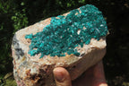Natural Dioptase Cabinet Specimen x 1 From Brazzaville, Congo - Toprock Gemstones and Minerals 