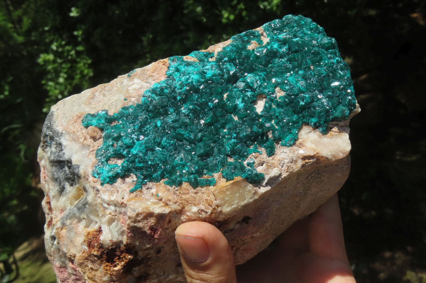 Natural Dioptase Cabinet Specimen x 1 From Brazzaville, Congo - Toprock Gemstones and Minerals 