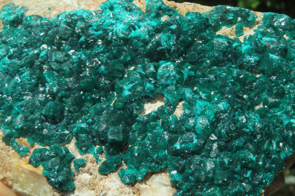 Natural Dioptase Cabinet Specimen x 1 From Brazzaville, Congo - Toprock Gemstones and Minerals 