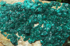 Natural Dioptase Cabinet Specimen x 1 From Brazzaville, Congo - Toprock Gemstones and Minerals 