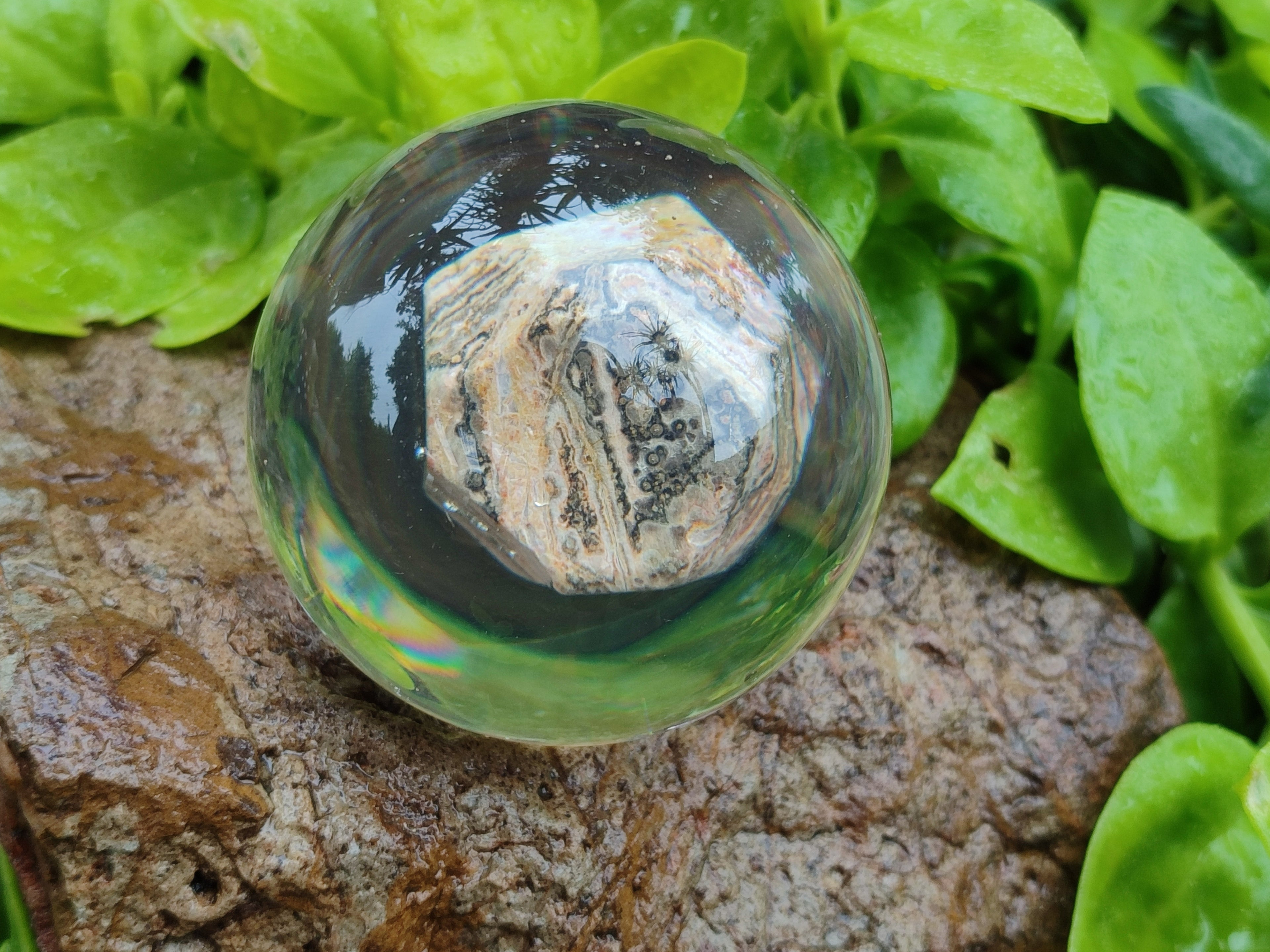 Polished Large Snakeskin Rhyolite Jasper cobbed piece in PVC Resin Sphere - sold per item - From Australia - Toprock Gemstones and Minerals 