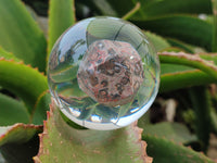 Polished Large Snakeskin Rhyolite Jasper cobbed piece in PVC Resin Sphere - sold per item - From Australia - Toprock Gemstones and Minerals 