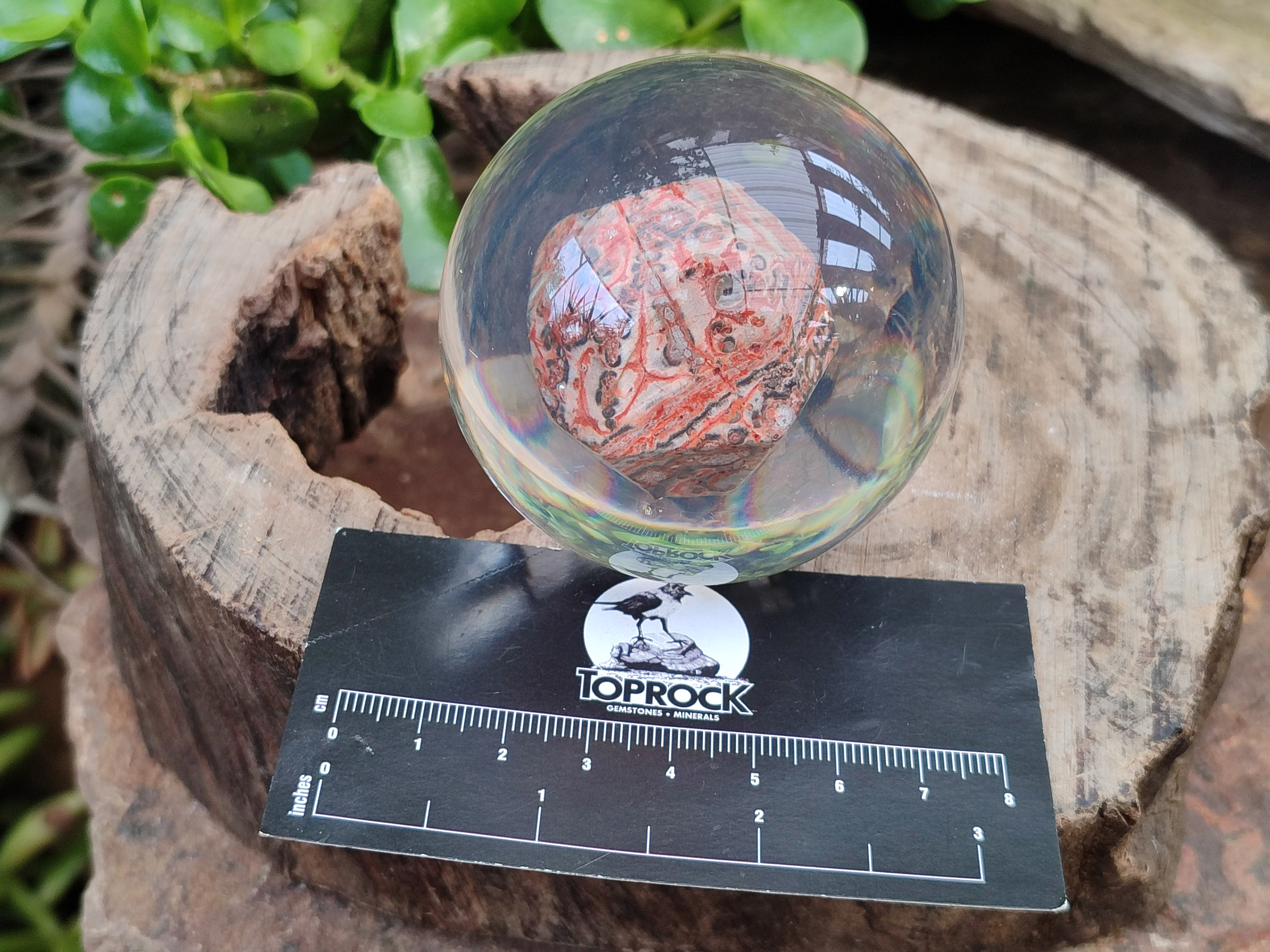 Polished Large Snakeskin Rhyolite Jasper cobbed piece in PVC Resin Sphere - sold per item - From Australia - Toprock Gemstones and Minerals 