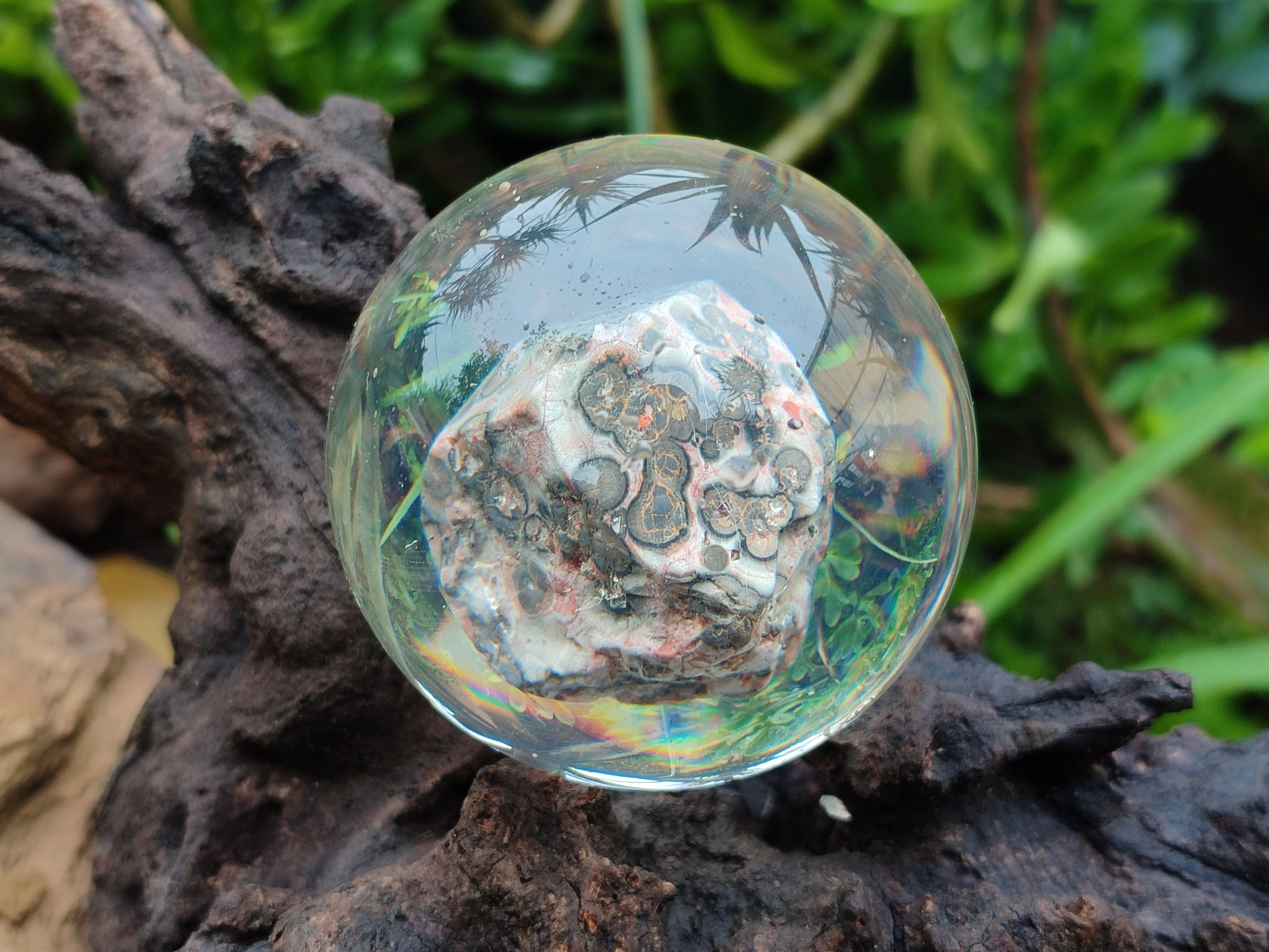 Polished Large Snakeskin Rhyolite Jasper cobbed piece in PVC Resin Sphere - sold per item - From Australia - Toprock Gemstones and Minerals 