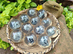 Polished Snowflake Obsidian pieces in PVC Resin Spheres - sold per item - From Mexico - Toprock Gemstones and Minerals 