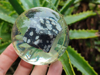 Polished Snowflake Obsidian pieces in PVC Resin Spheres - sold per item - From Mexico