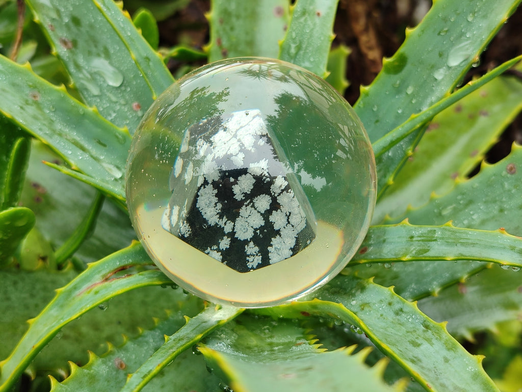 Polished Snowflake Obsidian pieces in PVC Resin Spheres - sold per item - From Mexico - Toprock Gemstones and Minerals 
