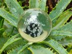 Polished Snowflake Obsidian pieces in PVC Resin Spheres - sold per item - From Mexico - Toprock Gemstones and Minerals 