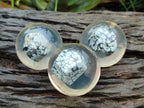 Polished Snowflake Obsidian pieces in PVC Resin Spheres - sold per item - From Mexico - Toprock Gemstones and Minerals 