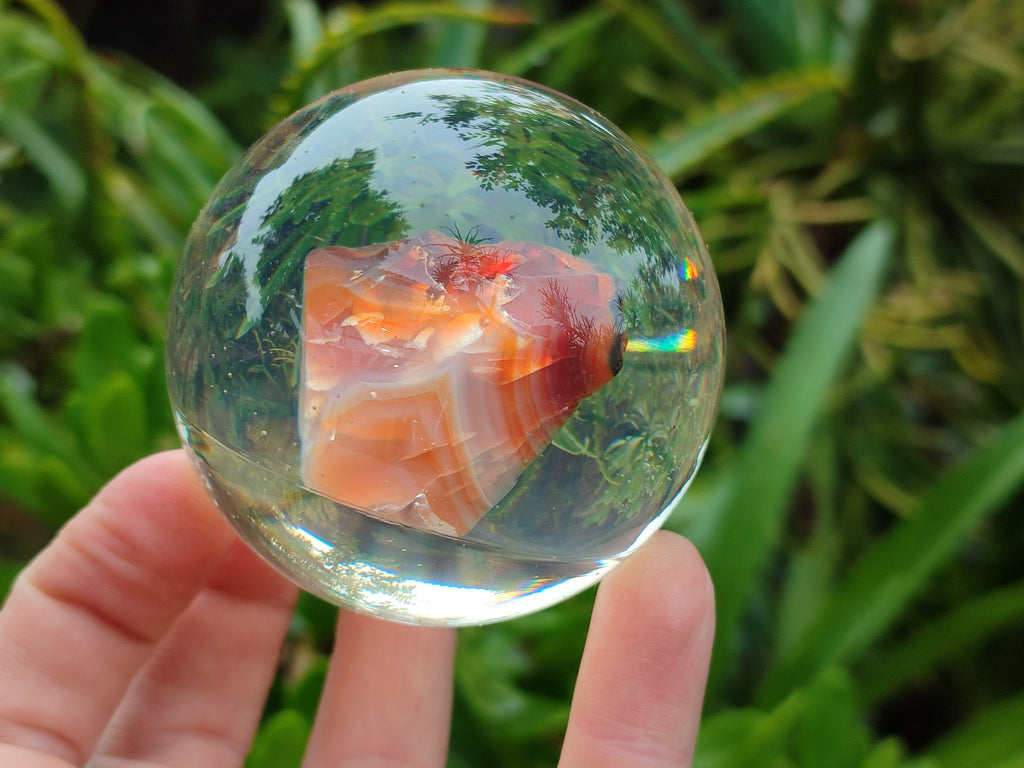 Polished Carnelian Agate in PVC Resin Spheres - sold per item - From Madagascar - Toprock Gemstones and Minerals 