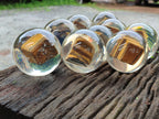 Polished Tigers Eye cobbed piece in PVC Resin Sphere - sold per item - From Northern Cape, South Africa - Toprock Gemstones and Minerals 