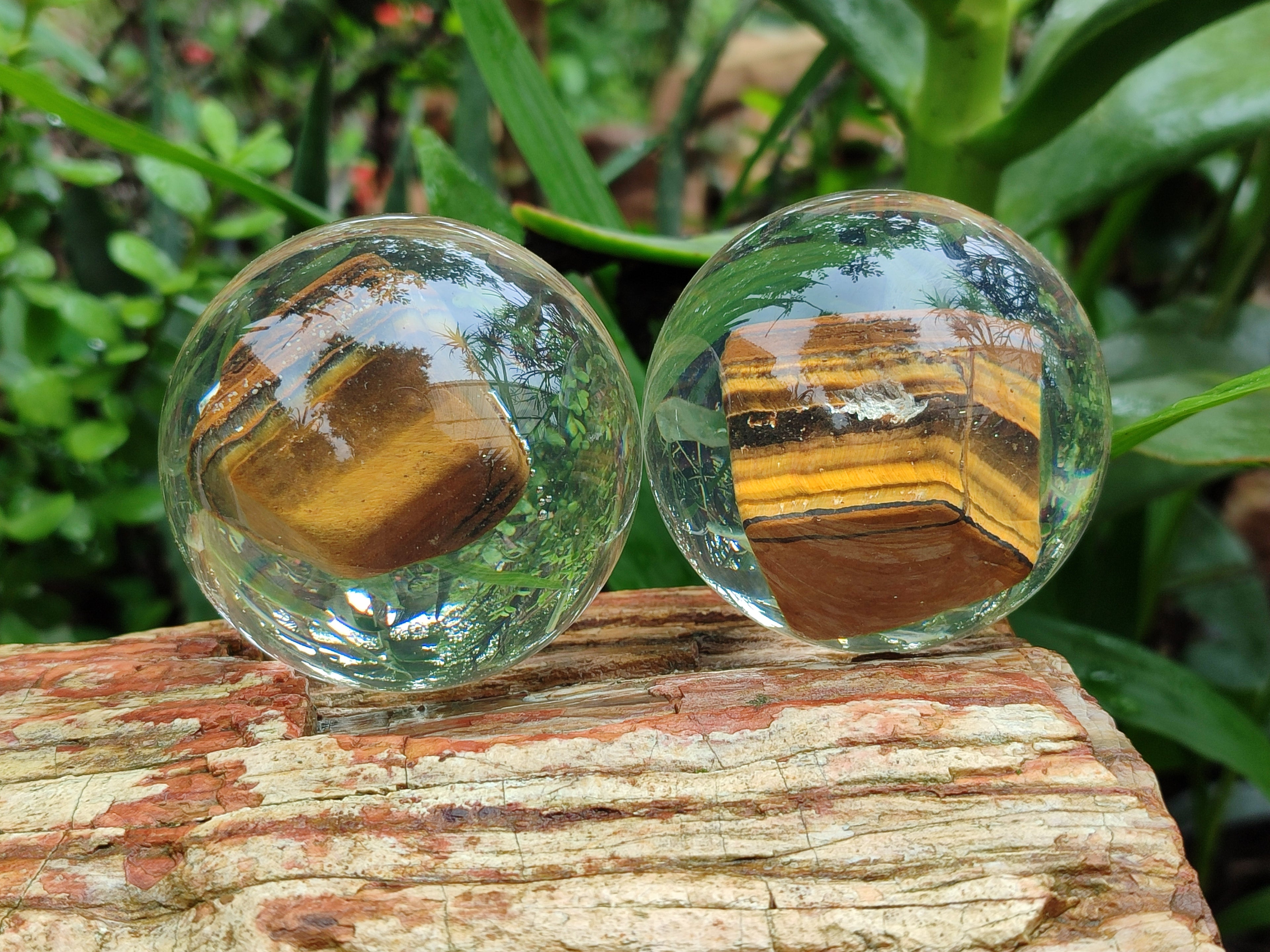 Polished Tigers Eye cobbed piece in PVC Resin Sphere - sold per item - From Northern Cape, South Africa - Toprock Gemstones and Minerals 