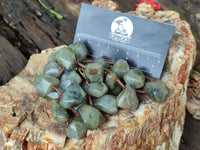 Polished Labradorite Free Form Beaded Necklace - Sold Per Item - From Madagascar - Toprock Gemstones and Minerals 